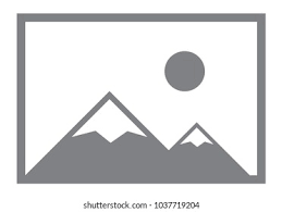 Invicta Angel Women's Earrings, Gold, Black (1-2438A-BK)