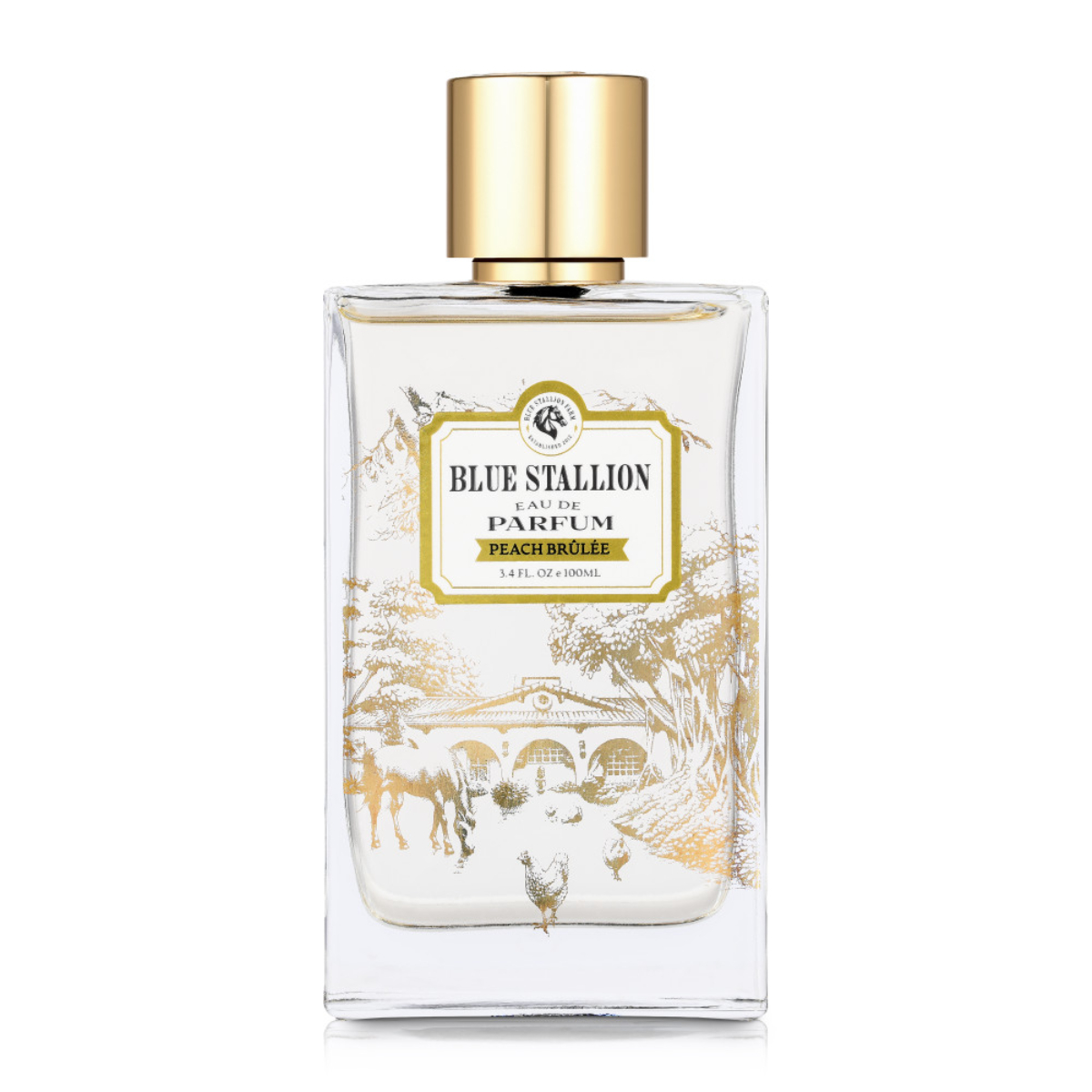 Blue Stallion X Invicta Angel Ladies Perfume, Peach Blue (BSF-EDP-100-PB)