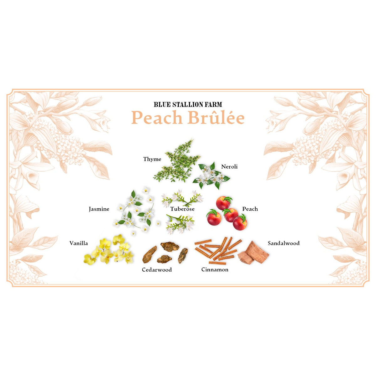 Blue Stallion X Invicta Angel Ladies Perfume, Peach Blue (BSF-EDP-100-PB) 3 Blue Stallion X Invicta Angel Ladies Perfume, Peach Blue (BSF-EDP-100-PB)